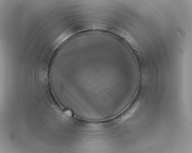 X0000115330977200911231408