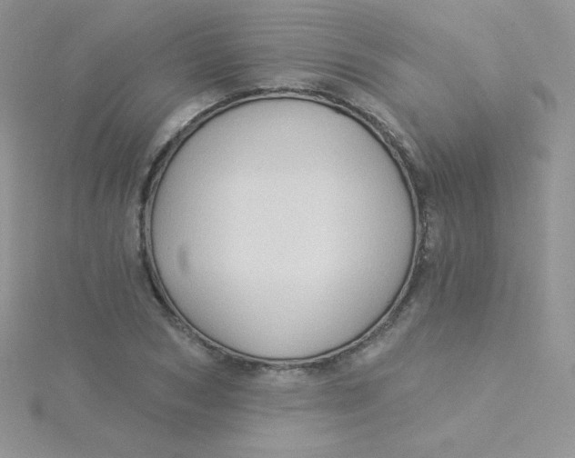 X0000115330978200911231408