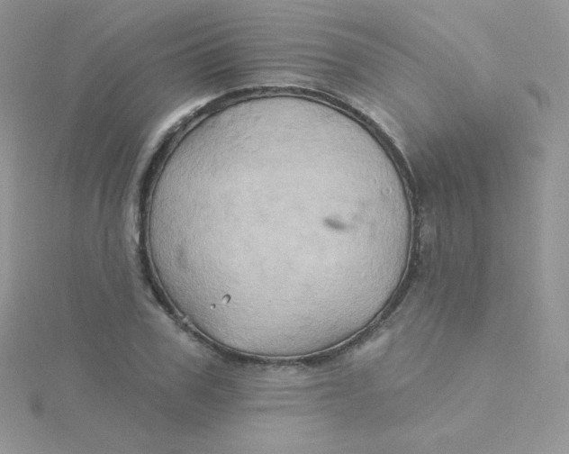 X0000115330979200911231408