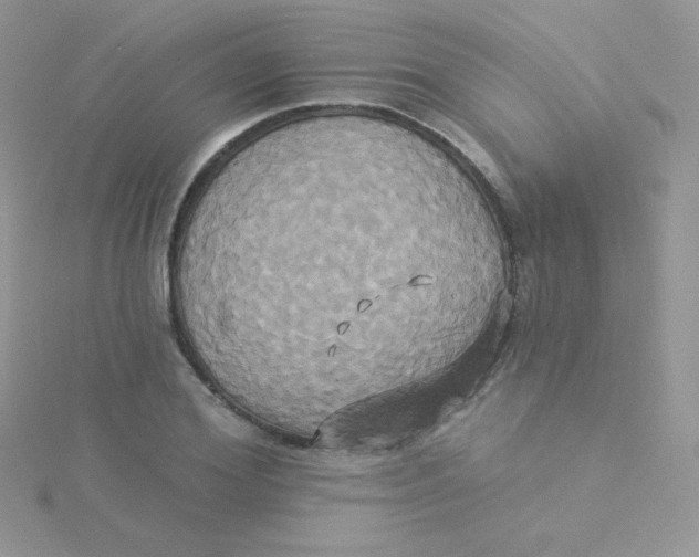 X0000115330980200911231408