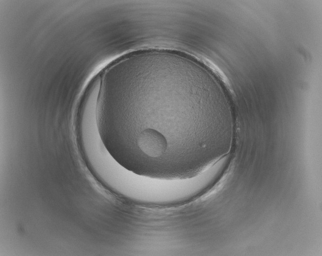 X0000115330981200911231408