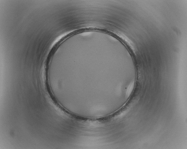 X0000115330983200911231408