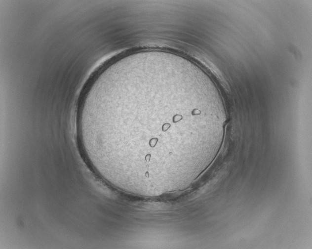 X0000115330984200911231408