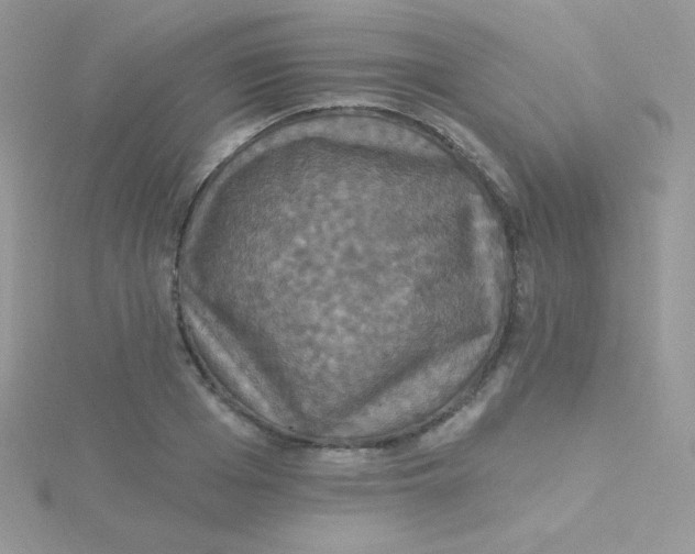 X0000115330985200911231408