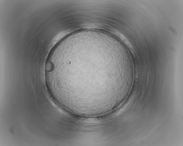 X0000115330986200911231408