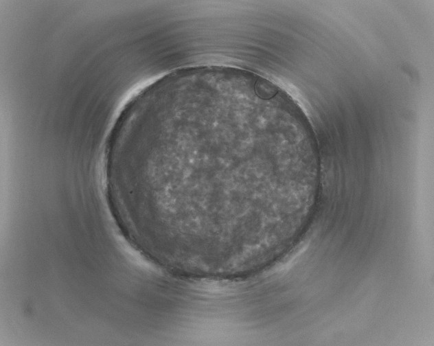 X0000115330987200911231408