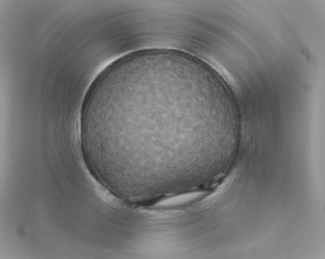 X0000115330988200911231408