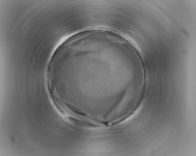 X0000115330989200911231408