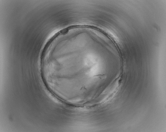 X0000115330990200911231408