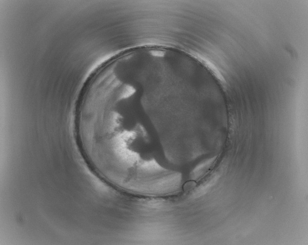 X0000115330991200911231408