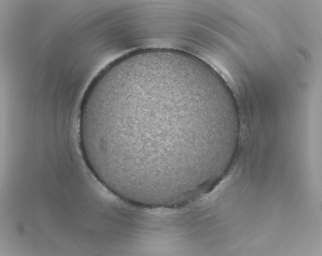 X0000115330992200911231408