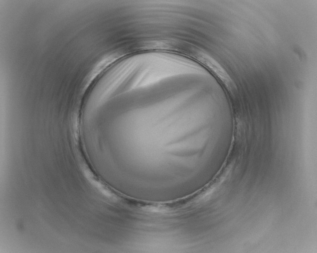 X0000115330994200911231408