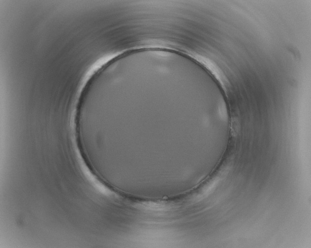 X0000115330995200911231408