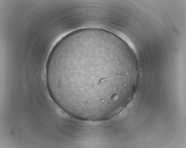 X0000115330996200911231408