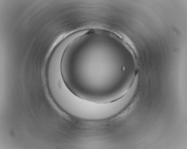 X0000115330997200911231408