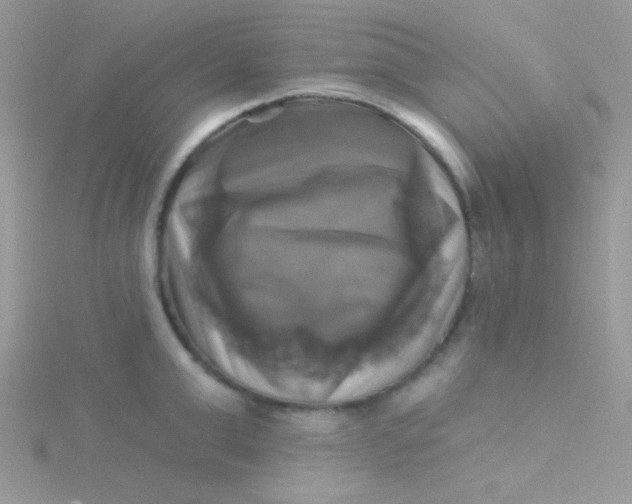 X0000115330999200911231408