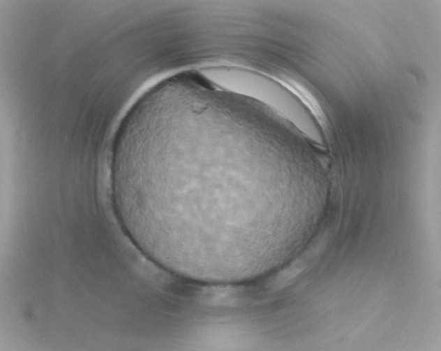 X0000115331000200911231408