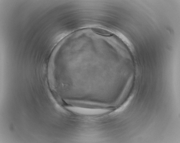 X0000115331001200911231408