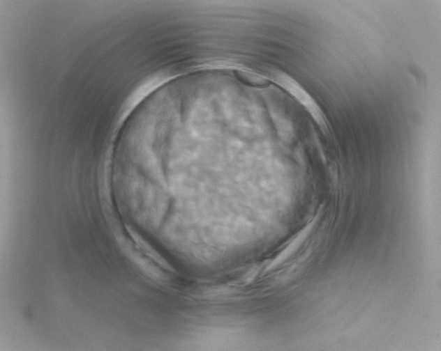 X0000115331002200911231408