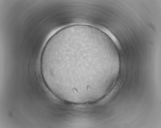 X0000115331004200911231408