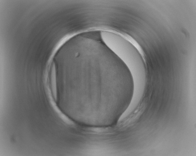 X0000115331005200911231408