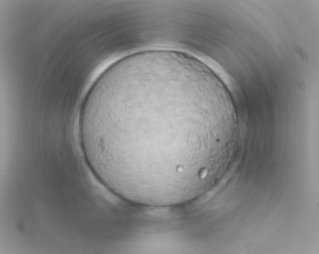 X0000115331006200911231408