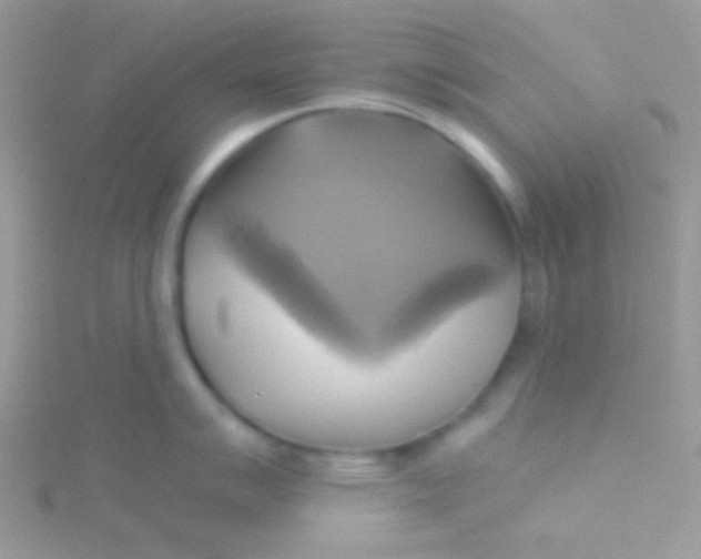 X0000115331007200911231408