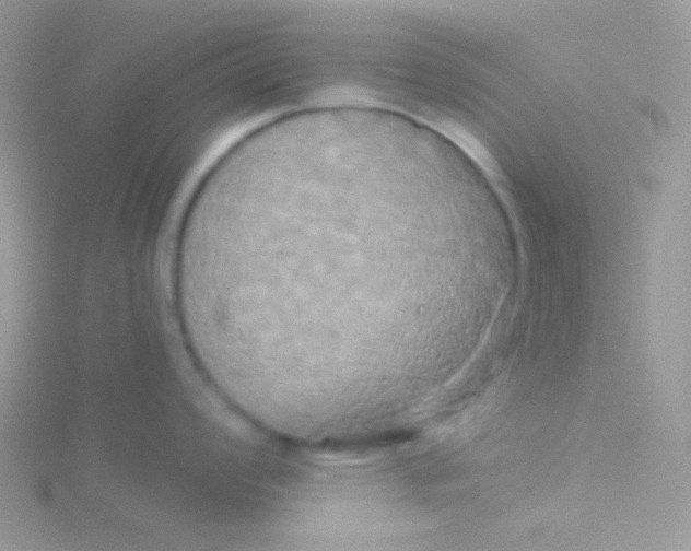 X0000115331008200911231408