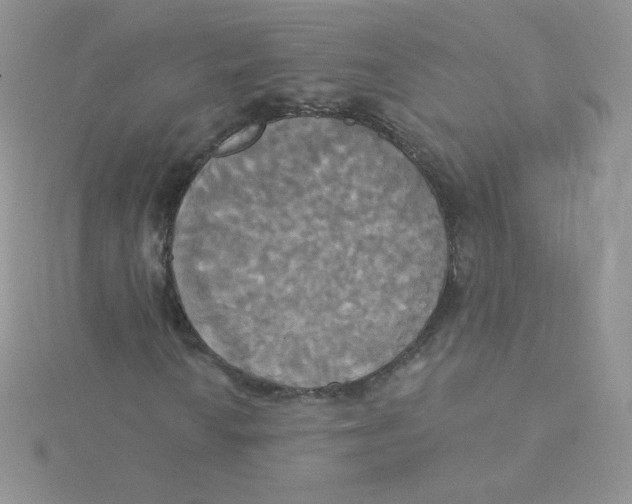 X0000115331010200911231407