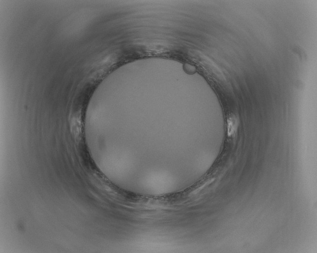 X0000115331011200911231407