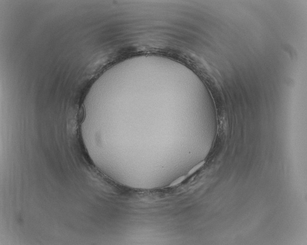 X0000115331012200911231407