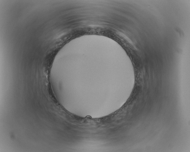 X0000115331013200911231407