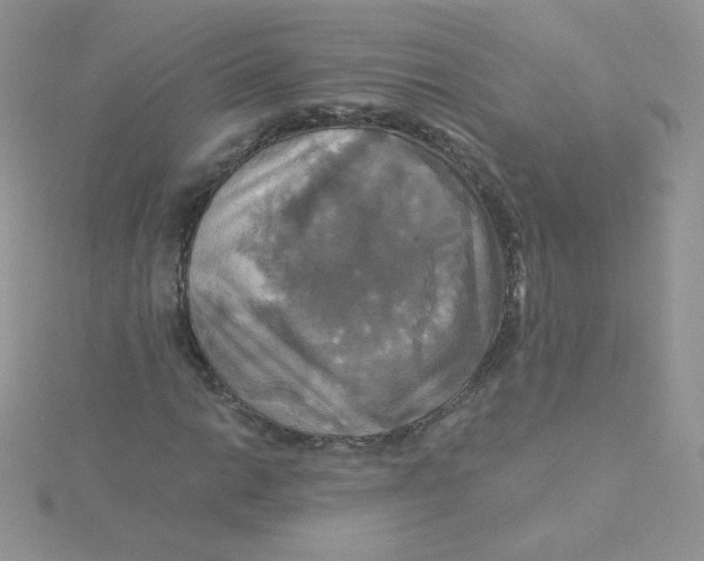 X0000115331014200911231407