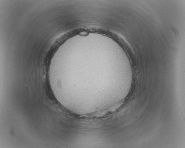 X0000115331016200911231407