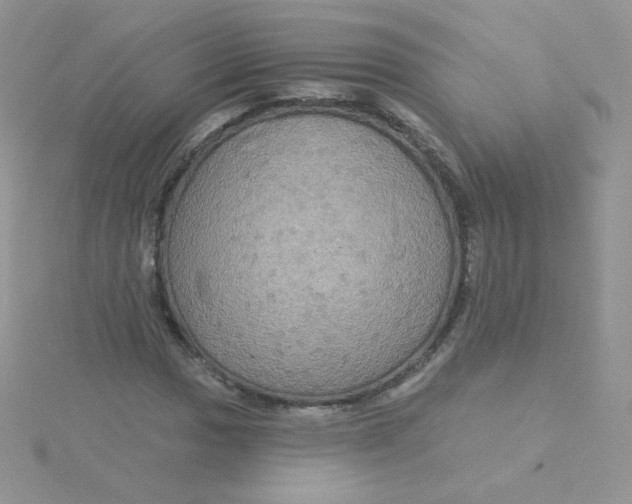 X0000115331017200911231407