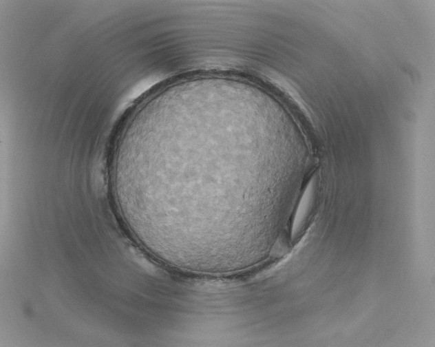 X0000115331018200911231407