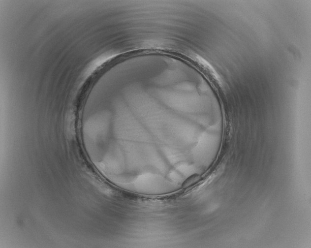 X0000115331019200911231407