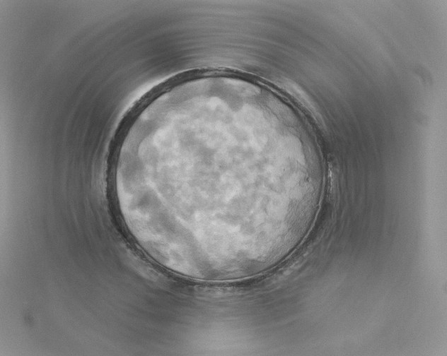 X0000115331020200911231407