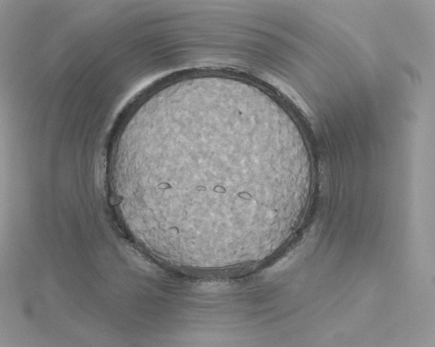 X0000115331021200911231407