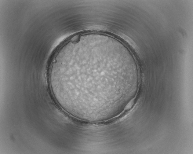 X0000115331022200911231407