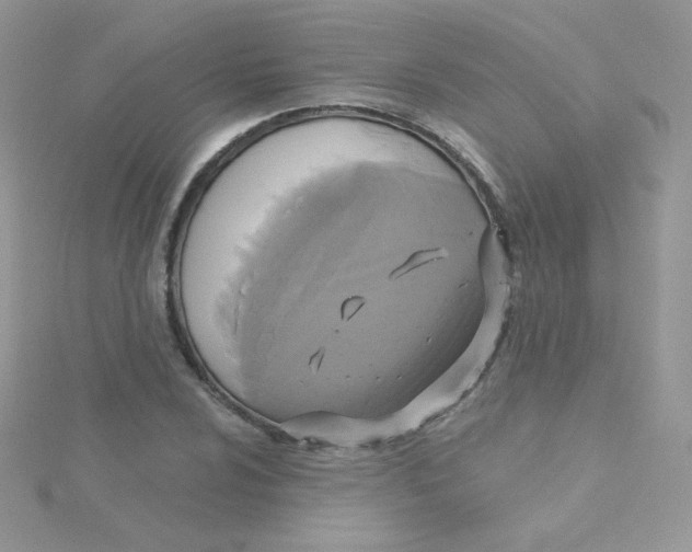 X0000115331024200911231407