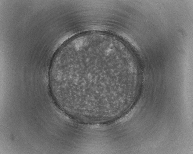 X0000115331025200911231407