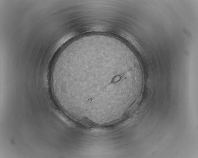 X0000115331026200911231407