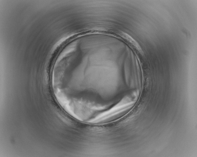 X0000115331027200911231407