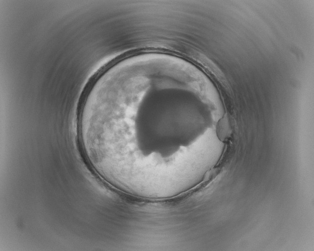 X0000115331028200911231407