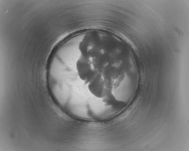 X0000115331029200911231407