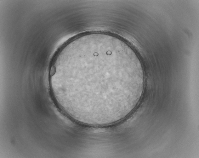 X0000115331030200911231407