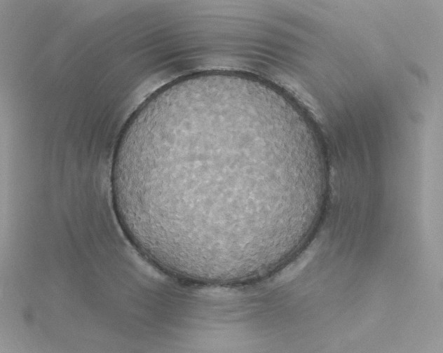 X0000115331033200911231407