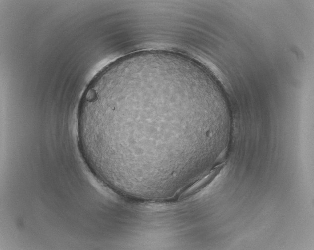 X0000115331034200911231407