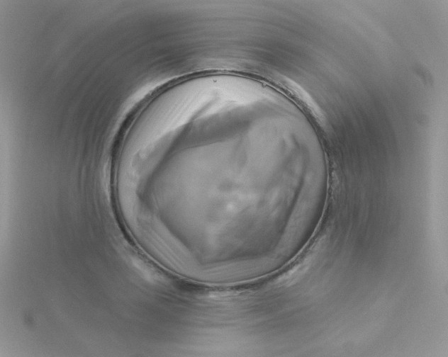 X0000115331035200911231407